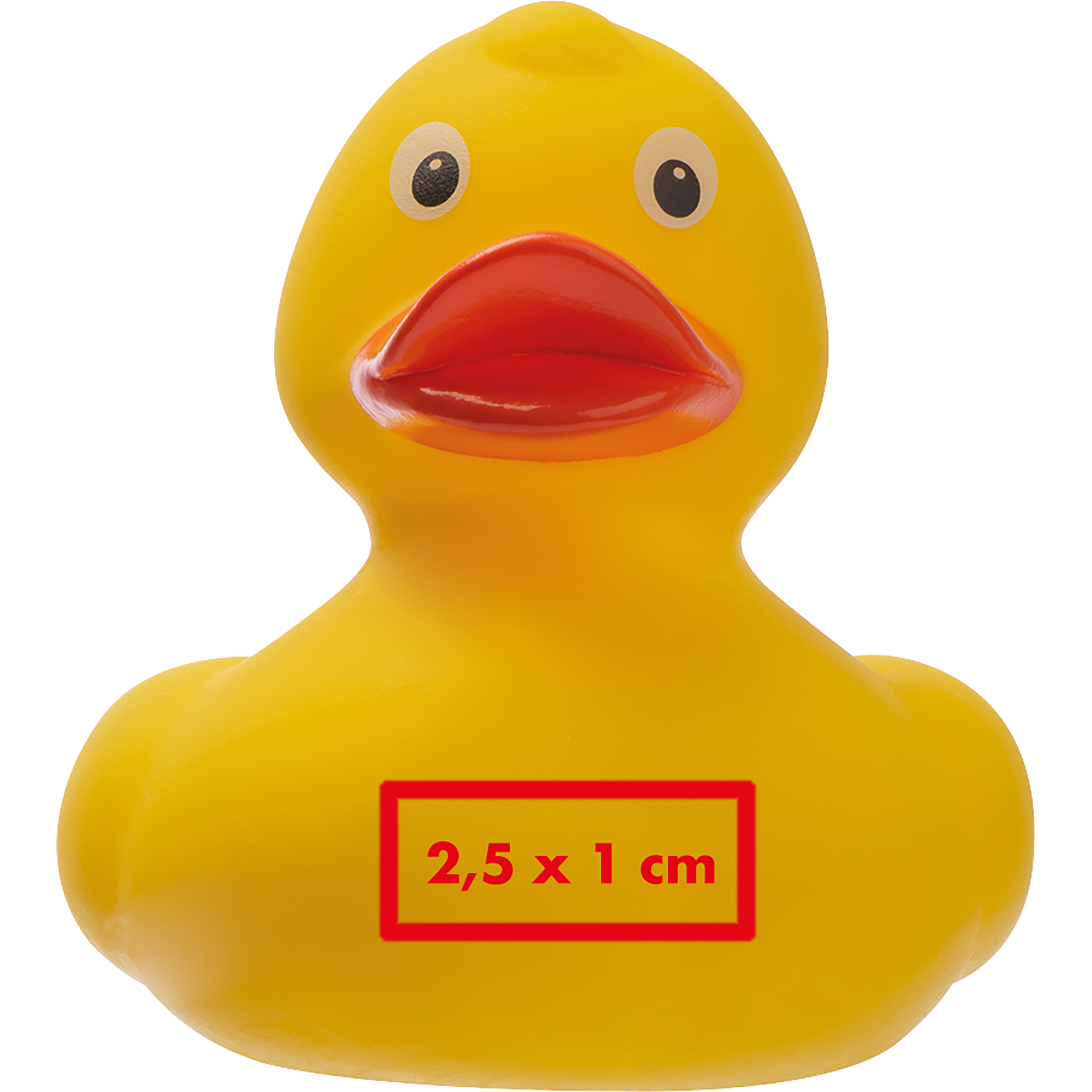 Vue 8 de Canard couinant Blankenberge