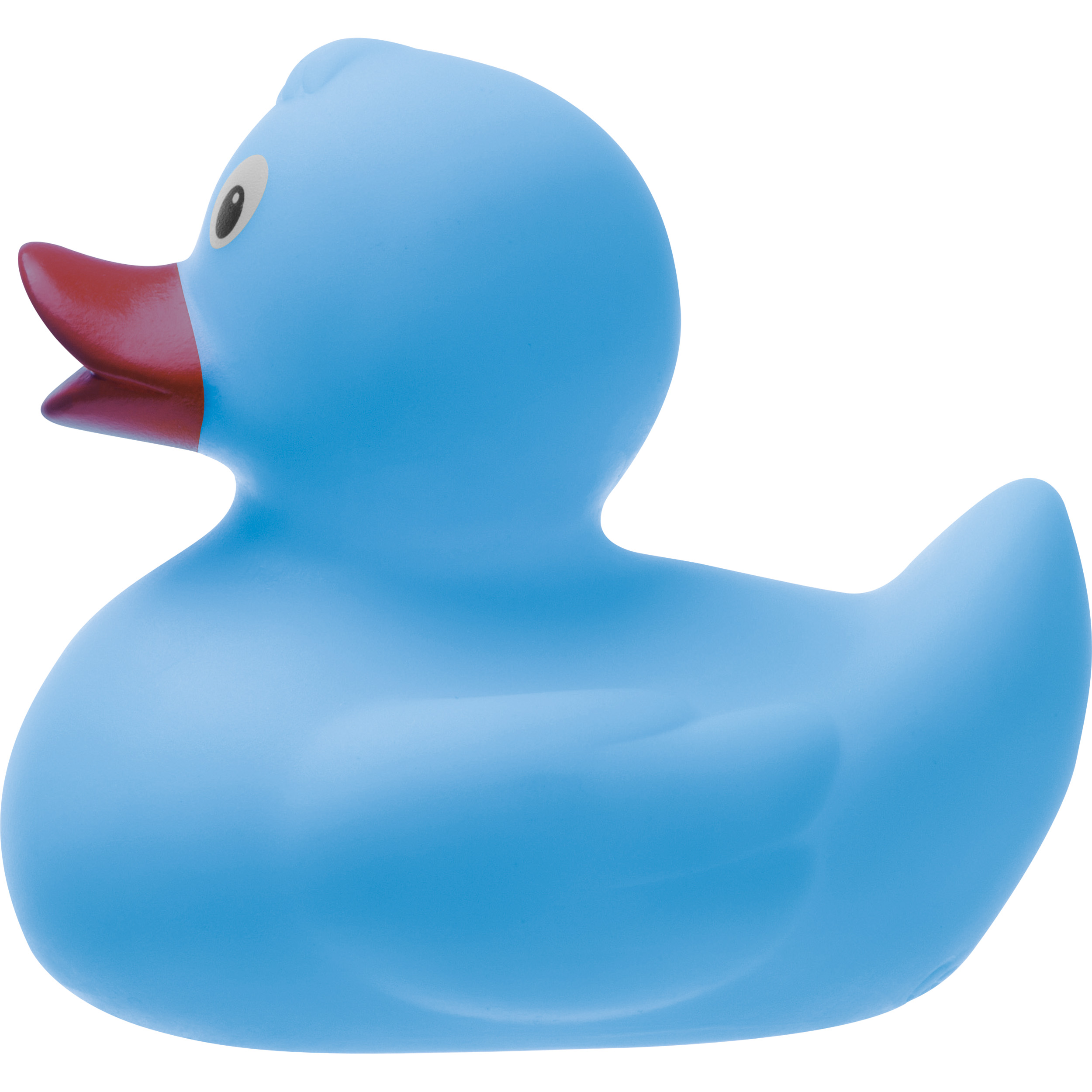 Vue 11 de Canard couinant Blankenberge