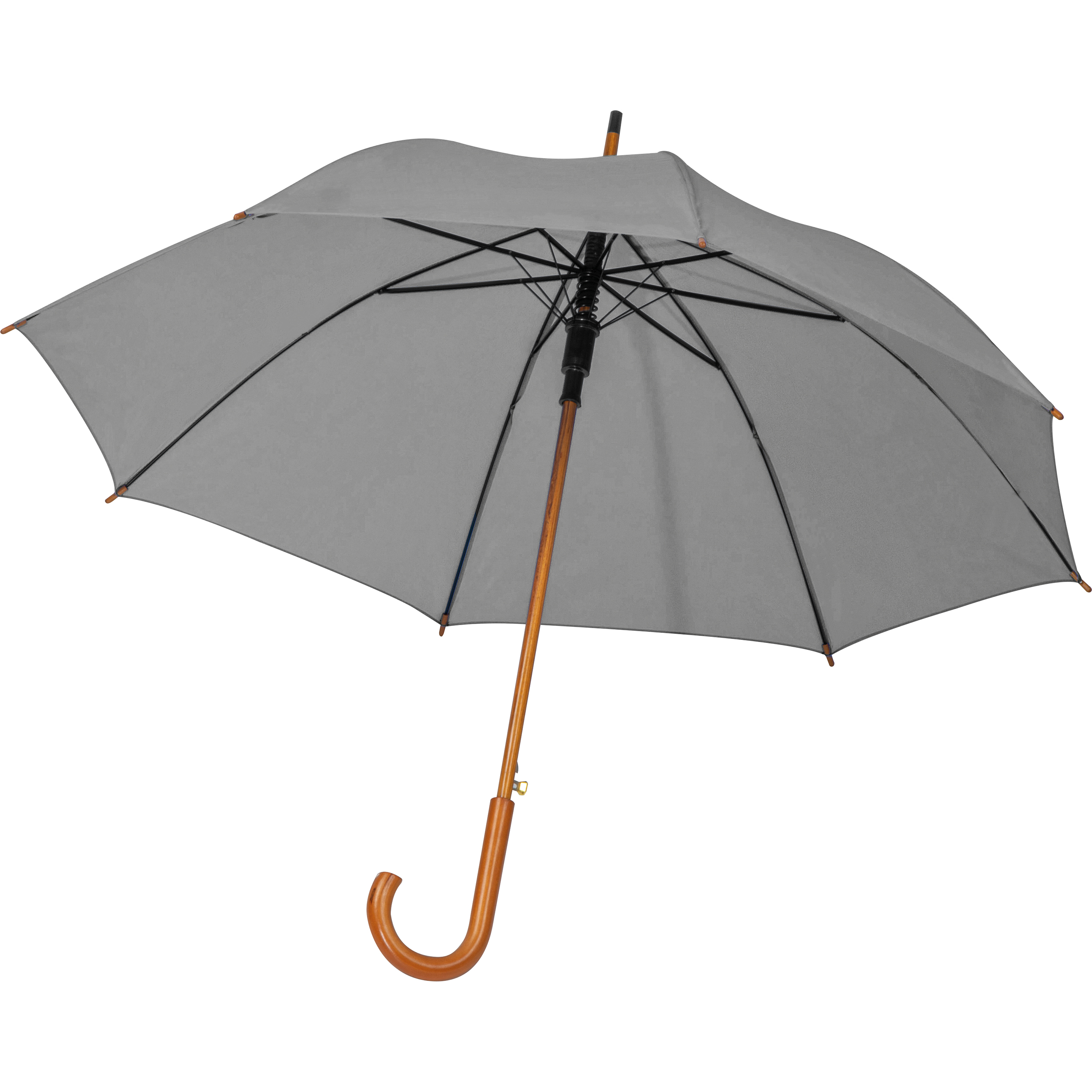 Vue 16 de Parapluie automatique Hasselt