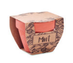 Pot avec graines de menthe – Image 3