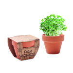 Pot avec graines de cresson