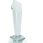 Prix en cristal dans un coffret
